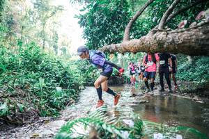 BIB: 
                            <button type="button" onclick="openModal(25453313)" class="btn btn-primary btn-sm float-right btn-popup" data-toggle="modal" data-target=".modal-high-quality">
                        <i class="fas fa-shopping-cart"></i> Add to Cart
                    </button>
                                            <button type="button" onclick="isThisMe(25453313, true)" class="btn btn-success btn-sm float-right btn-popup btn-isme hidden" data-toggle="tooltip" data-placement="bottom" title="นี่คือรูปของคุณใช่ไหม คลิกที่นี่เพื่อเอาเข้าอัลบั้ม">
                        <i class="fas fa-plus"></i> Add to album
                    </button>
                    <button type="button" onclick="isThisMe(25453313, false)" class="btn btn-warning btn-sm float-right btn-popup btn-isnotme hidden">
                        <i class="fas fa-ban"></i> Remove from album
                    </button>